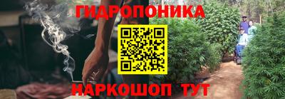 молекула духа Ливны