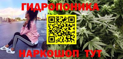 spice Лесосибирск