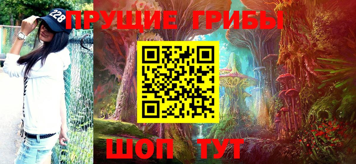 Галлюциногенные грибы Magic Shrooms  Вход с VPN  Ессентуки 
